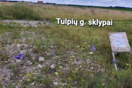 Namų valdos sklypai Rokų gyvenvietėje