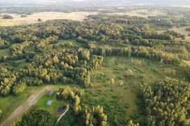 PARDUODAMAS VIENKIEMIS MIŠKO APSUPTYJE, ROKIŠKIO R. SAV., KRIAUNŲ SEN., RUKELIŲ K.