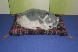 Miegantis suniukas ant pagalves. Kaip tikras. 25 e