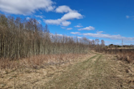 Vilniaus r. sav., Pukliškių k., žemės ūkio, miškų ūkio paskirties sklypas