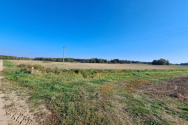 Parduodamas žemės sklypas Vilkaviškio r. 2.9 ha.