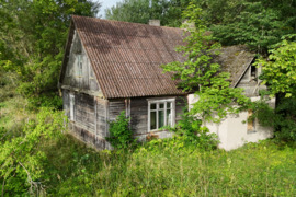 Vienkiemis sena sodyba prie Surdegio, netoli Troškūnų