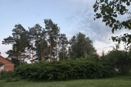 Sodo namas salininkuose 12 arų