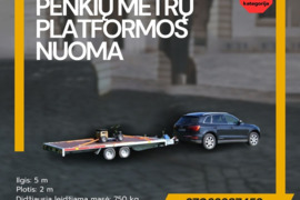 Traliukų ir platformų nuoma – vairuok su B kategorija!