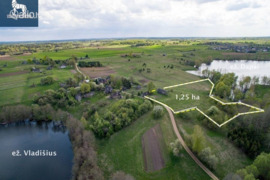 132.67 a sklypas Trakų r. sav., Raipolis