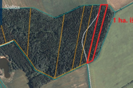 142.0 a sklypas Šalčininkų r. sav., Kurmelionys
