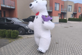 Meškučio šypsena