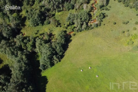 213.0 a sklypas Anykščių r. sav., Pašiliai
