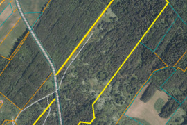 PARDUODAMAS žemės ūkio paskirties sklypas Rokiškio r., Obelių sen., Vabolių k.