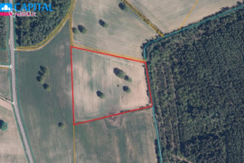 360.0 a sklypas Mažeikių r. sav., Balėnos