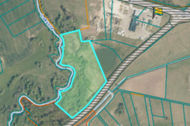 283.85 a sklypas Šilalės r. sav., Šoliai