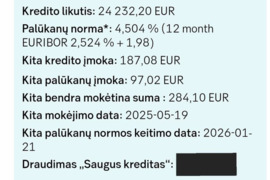 Ši paskola jums puikiai tinka