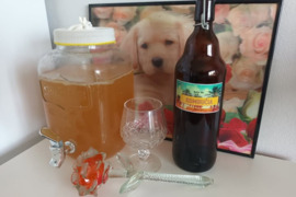 Arbatos grybas (kombucha)