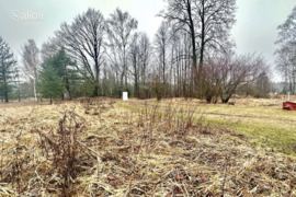 15.0 a sklypas Panevėžio r. sav., Paežerys I