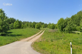250.0 a sklypas Alytaus r. sav., Žadiškės