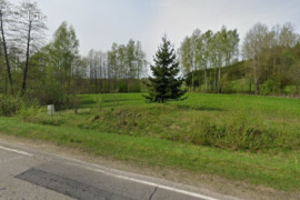 330.0 a sklypas Alytaus r. sav., Žemaitėliai