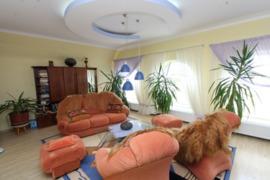 PARDUODAMAS ĮRENGTAS 247 KV. M NAMAS VĖGELIŲ G., PANEVĖŽYJE