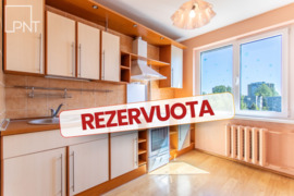 PARDUODAMAS 1 KAMBARIO BUTAS RAMIOJE VIETOJE, PARKO G., PANEVĖŽYS