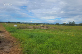 Klaipėdos r. sav., Pangesai