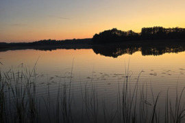 77 arų sklypas ant Ūkojo ežero kranto