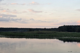 59 a sklypas Lazdijų r. sav., Purviniai