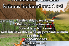 Apleistų sklypų tvarkymas ir kelmų frezavimas