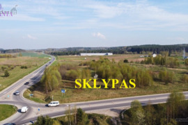 Vilniaus r. sav., Didžiasalio k., Filaretų g., žemės ūkio paskirties sklypas