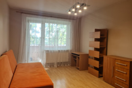 Išnuomojamas 1 kambario butas Kalniečiuose