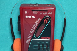 Sanyo mgr84  Ausinukai