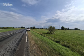 100 a sklypas Klaipėdos r. sav., Leliai