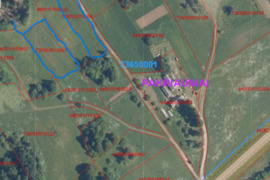 97 a sklypas Rokiškio r. sav., Pakriauniai, Kalno g.