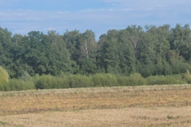 Nuo 30 a iki 1000 a sklypą, Panevėžio r. sav., Vaivadai