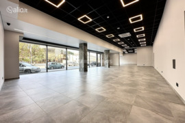 Patalpos Panevėžys, Panevėžys, J. Basanavičiaus g.