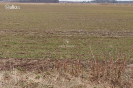 110 a sklypas Klaipėdos r. sav., Agluonėnai
