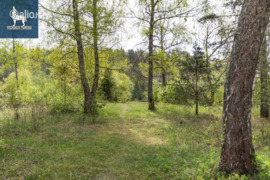 15.06 a sklypas Vilnius, Naujieji Verkiai, Ožkinių g.81C