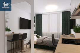1 kamb. butas Vilnius, Naujamiestis, Vytenio g.