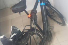 Elektrinis dviratis Pegasus 62cm remo dydis