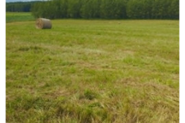 Namas Vilniaus r. sav., Valasoniškės, Dvarvietės g.