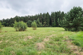 18 a sklypas Kretingos r. sav., Darbėnai, Miško g.