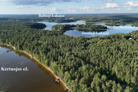UNIKALI OAZĖ GAMTOS APSUPTYJE LABANORO GIRIOJE– IŠSKIRTINIS PASIŪLIMAS JUMS!