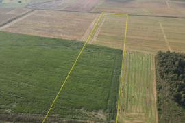 9,1853 HA ŽEMĖS SKLYPAS Kėdainių r. sav., Truskavos sen., Dvariškių I k.