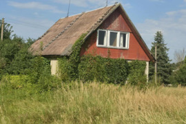 Namas Rokiškio r. sav., Aleknos, Vyžuonos g.