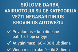 Siulo darba vairuotojui