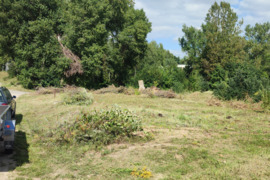 Tvarkomi apleisti sodai sklypai Vilnius ir užjio ribų pjiauname medžius ,krūmus ,pjiauname žole išve