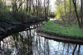 76.47 a sklypas Klaipėdos r. sav., Jakai, Pamiškės g.