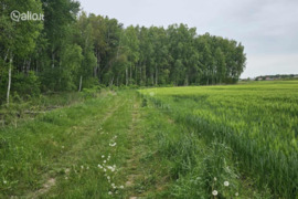 223 a sklypas Klaipėdos r. sav., Šlapšilė