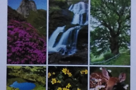 Užkarpatės regiono gamtos rezervato fontas