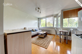 1 kamb. butas Vilnius, Šiaurės miestelis, Apkasų g.