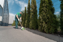 KIEMSARGIS (Ė) GRAIČIŪNO G. (A. PANERIAI)