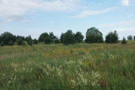 Parduodamas 0,53ha zemes sklypas Vilnius,Gudeliai,Dvarelio gt